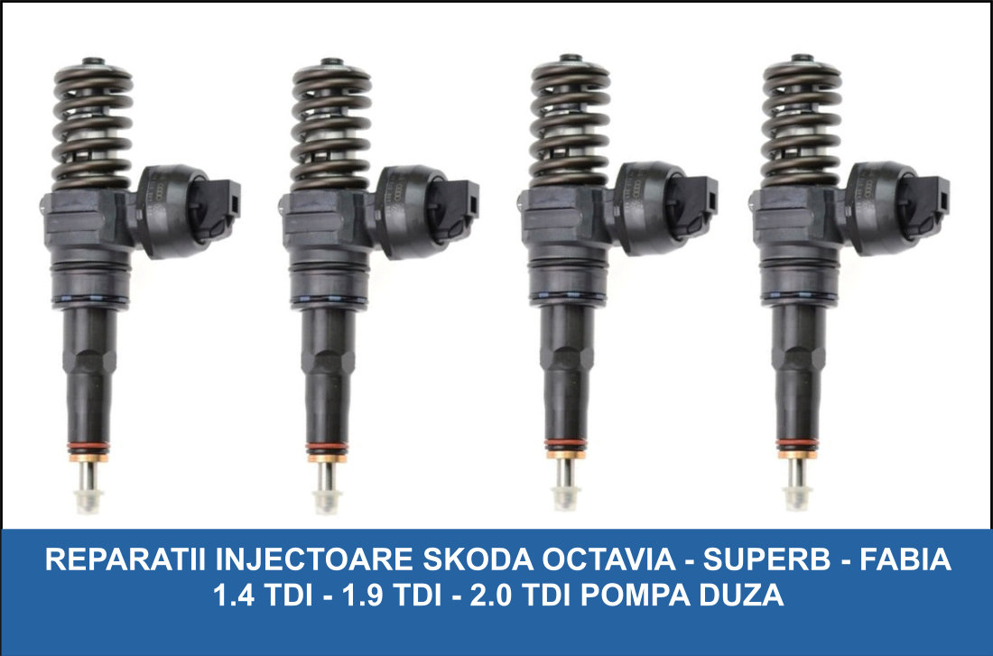 Injectoare Skoda Fabia - Injector Skoda Fabia Pompa Duza - Oferim factura si certificat de garantie - Oferim montaj.